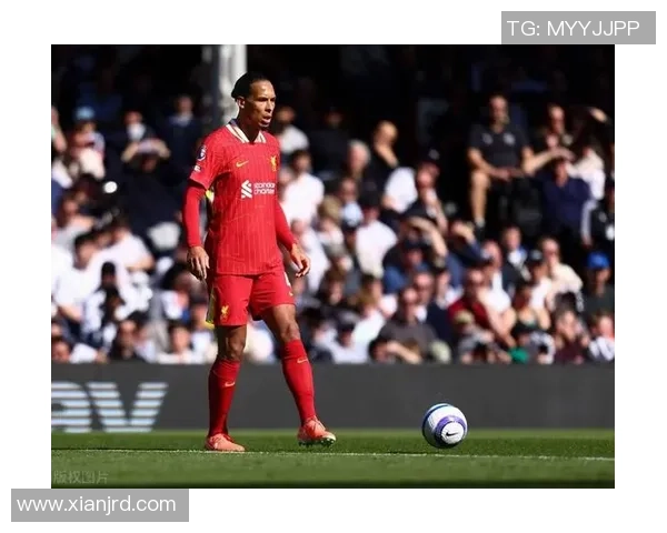 范戴克足球明星的传奇之路与场上风采解析